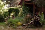 Drewniany dom z ogrodem