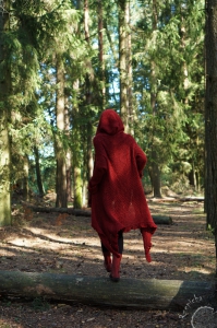 Red hooded jumper